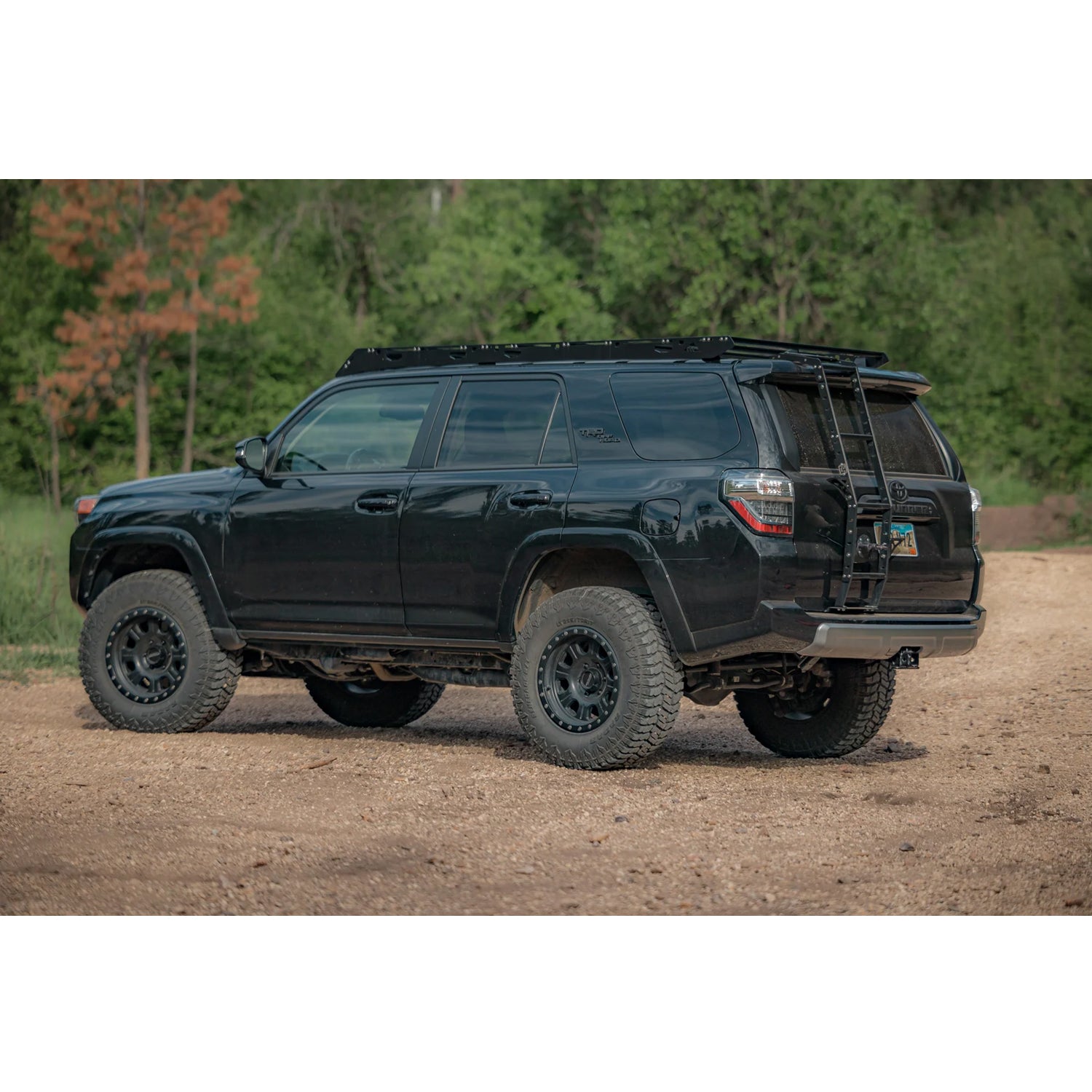 4runner best sale side ladder